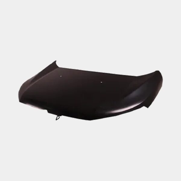 Capot Ford Ecosport 2013